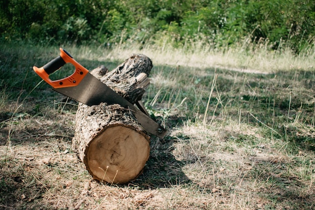 Zag in een blok buiten