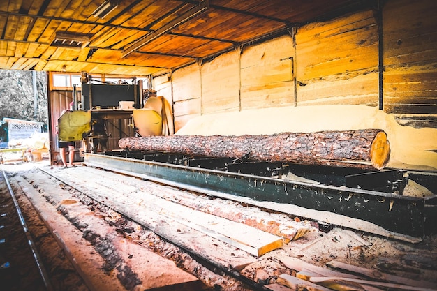 Zagerijproces van het machinaal bewerken van boomstammen in apparatuur zagerijmachine zag de boomstam op de plank