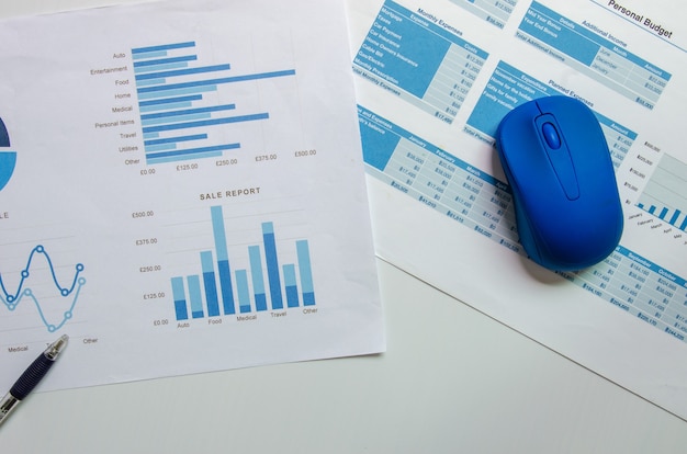 Zakelijke grafiek en grafiekfinanciën, boekhouding, statistieken en analytisch onderzoek met muis en pen