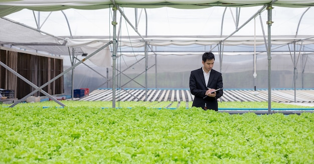 Zakenlieden onderzoeken en registreren de kwaliteitsrapporten van biologische groenten op de boerderij.