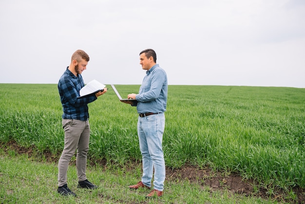 zakenlieden staan in een tarweveld en kijken op laptop