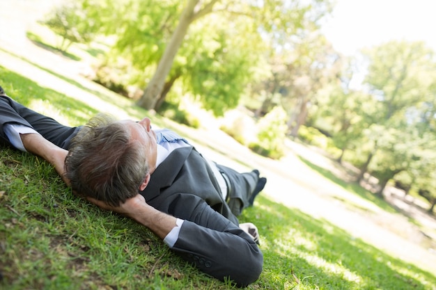 Zakenman ontspannen in park