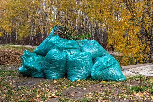 Zakken afval in de natuur in een blauw buitenpark in het herfstbos