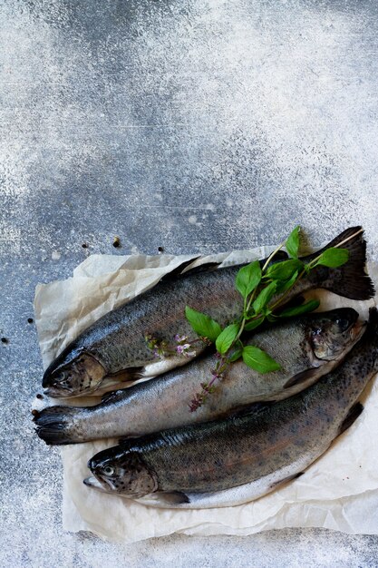 Zalm Verse rauwe zalmvis met culinaire specerijen en kruiden op een aanrecht Bovenaanzicht Kopieer de ruimte