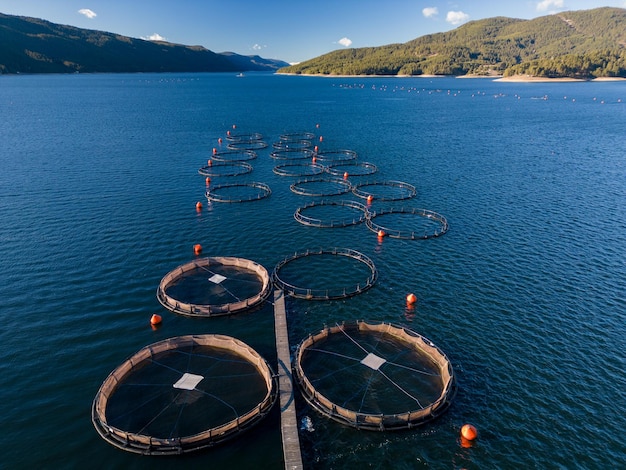 Zalm viskwekerij in de rivier luchtfoto