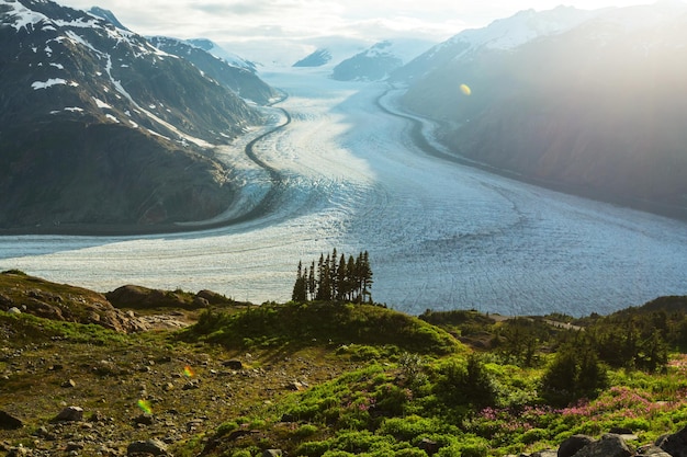 Zalmgletsjer in Stewart, Canada