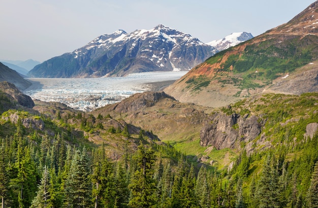 Zalmgletsjer in Stewart, Canada