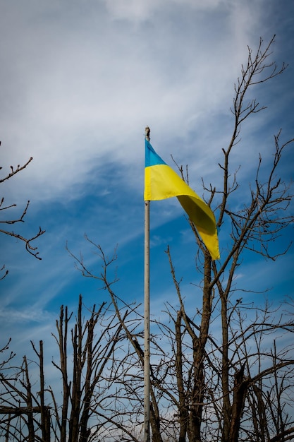 Фото Залиман харьковская область украина 03252023