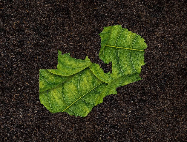 Zambia map made of green leaves on white background ecology concept