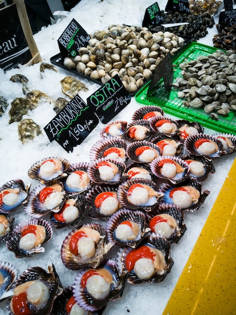 Zamburias en oesters op de toonbank van een vismarkt