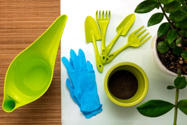 Zamiokulkas potgereedschap gieter handschoenen bovenaanzicht