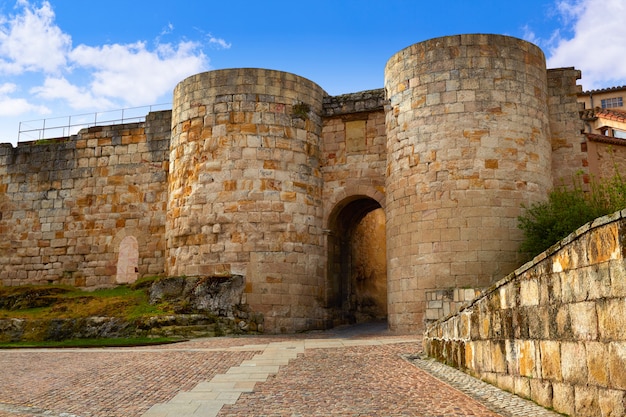 Zamora door of Dona Urraca in Spain