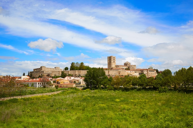 Zamora spring field skyline Spain