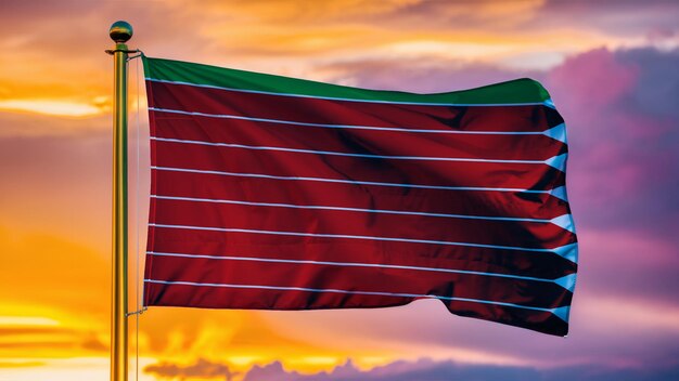 Zamora Waving Flag Against a Cloudy Sky