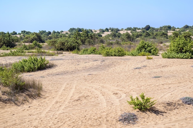 Zand en een steppelandschap van de heuvelachtige wijk of autodrome voor een natuurlijke achtergrond