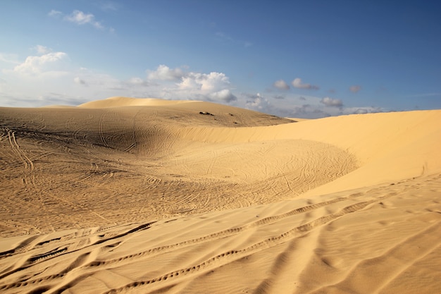 Zand gouden duinen bij zonsondergang