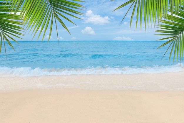 Zand met Palm en tropisch strand en zee achtergrond Zomervakantie en reizen concept