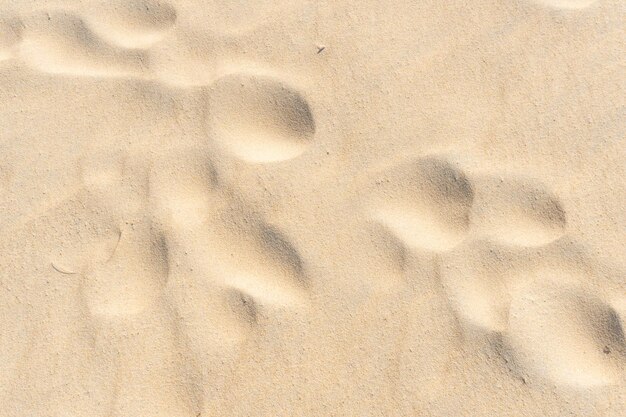 Zand textuur achtergrond zonnige zee strand