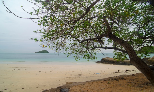 zand van strand Thailand zee