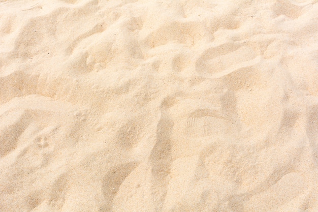 Zandaard op het strand als achtergrond