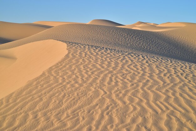 Foto zandduin in de woestijn tegen een heldere lucht