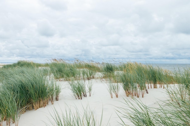 Foto zandduinen aan het strand