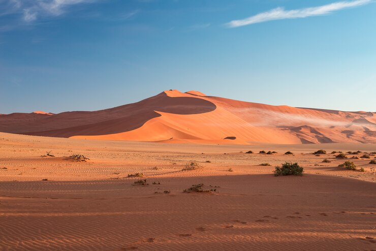 Zandduinen in de Namib-woestijn bij dageraad, roadtrip in het prachtige Namib Naukluft National Park, reisbestemming.