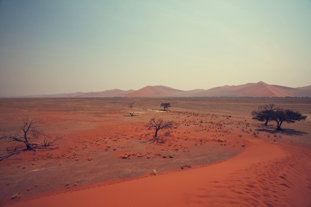 Zandduinen in de Namib-woestijn