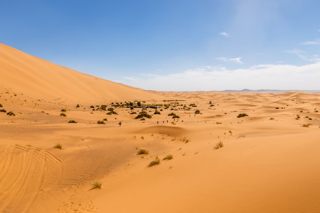 Zandduinen in de sahara, marokko