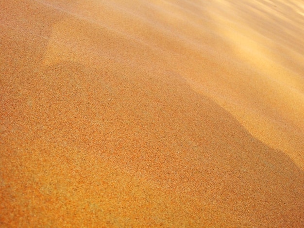 Zandduinen in de woestijn