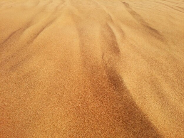 Zandduinen in de woestijn