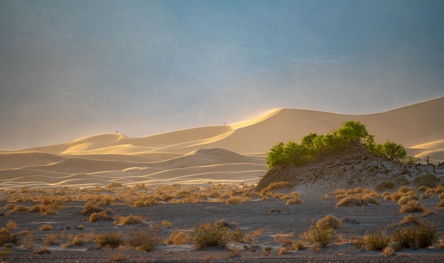 Zandduinen in Death Valley, Oost-Californië, Mojavewoestijn, VS