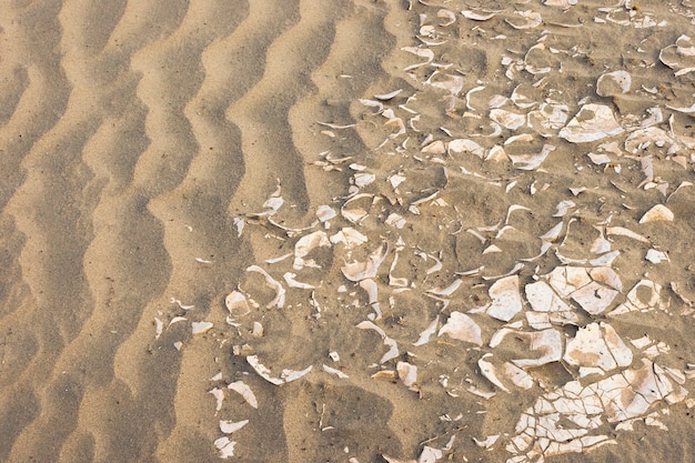 Zandduinen in Mojave-woestijn