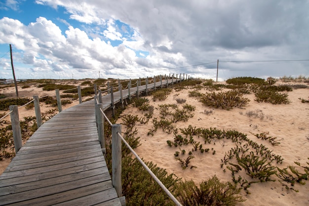 Foto zandduinen kustlijn