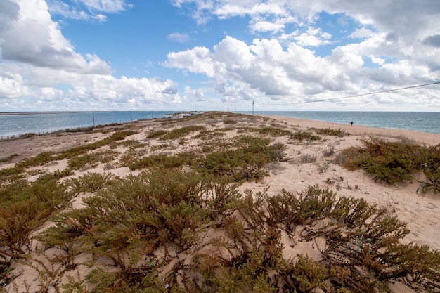 Foto zandduinen kustlijn