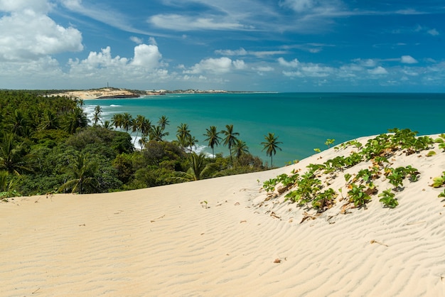 zandduinen met inheemse vegetatie in maxaranguape rio grande do norte brazilië op 22 november 2015