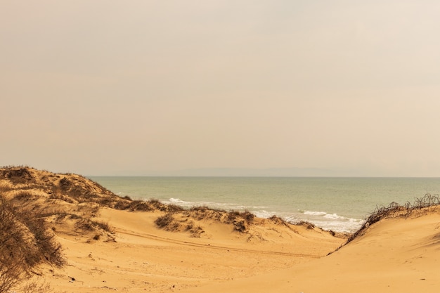 Zandduinen tegen het zonsonderganglicht op het strand