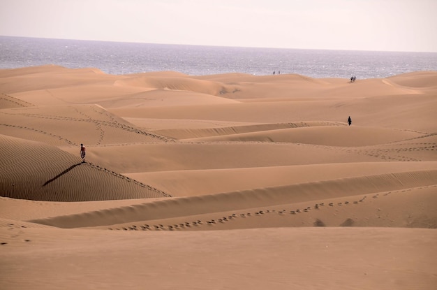 Zandduinwoestijn in Maspalomas