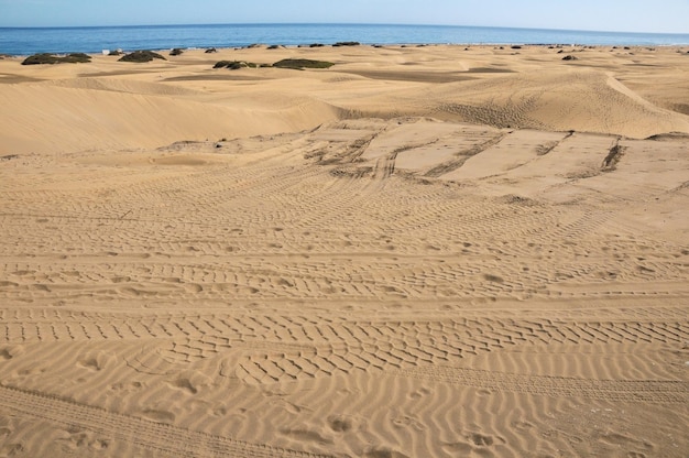 Zandduinwoestijn