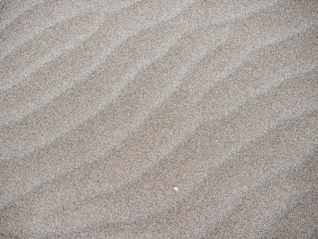 zandgolven op het strand gemodelleerd door wind