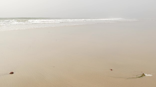 Zandig nevelig strand, Encinitas Californië de V.S. Stille Oceaan kust, dichte mist brume, lege kust. Kustlijn bij Los Angeles, melkachtige smognevel. Somber weer op de kustlijn. Grijze monochrome watergolf