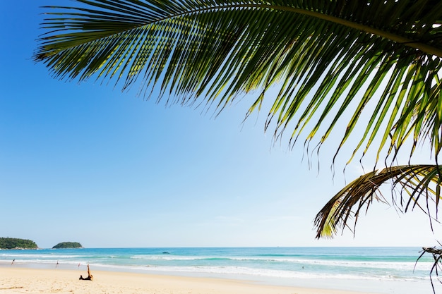 Zandig tropisch strand met het mooie strand van het kokosnotenpalmkader