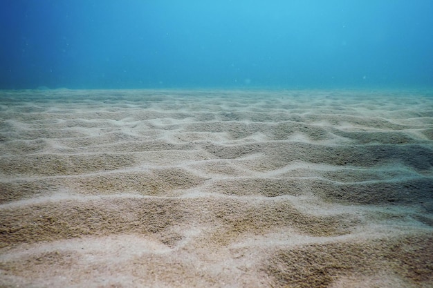 Zandige zeebodem Onderwater achtergrond