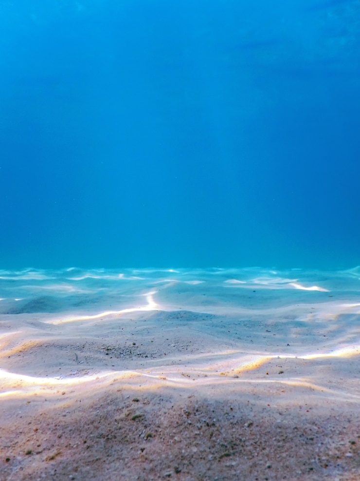 Foto zandige zeebodem zeeleven, onderwaterachtergrond