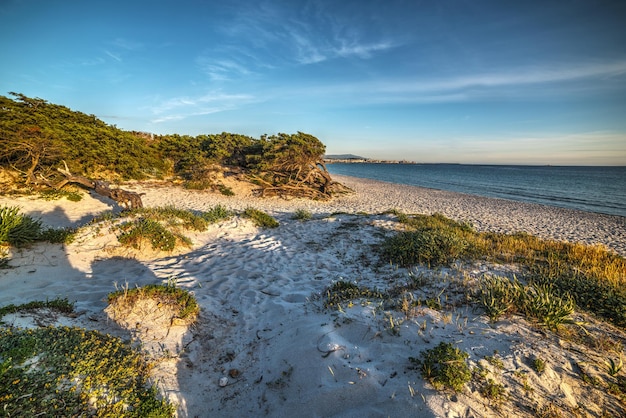 Zandkust in alghero