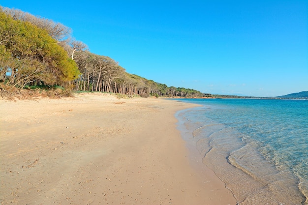 Zandkust in Mugoni-strand Sardinië