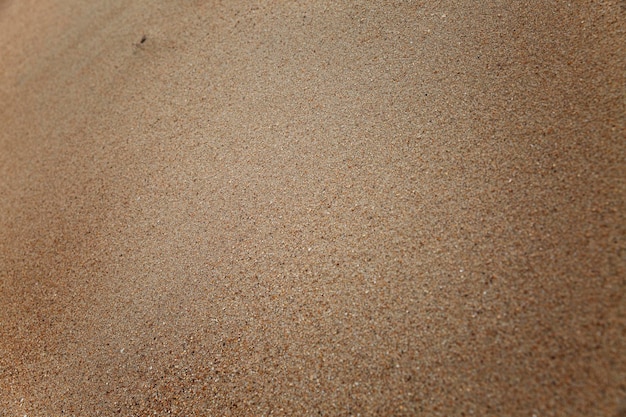 Foto zandoppervlak strand en woestijn ruimte voor tekst