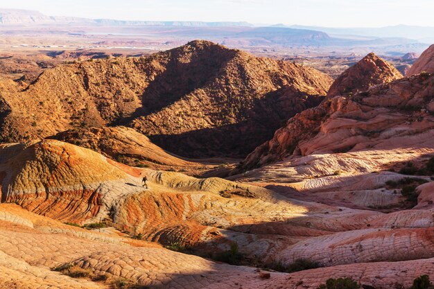 Zandsteenformaties in Utah, VS. Yant flats