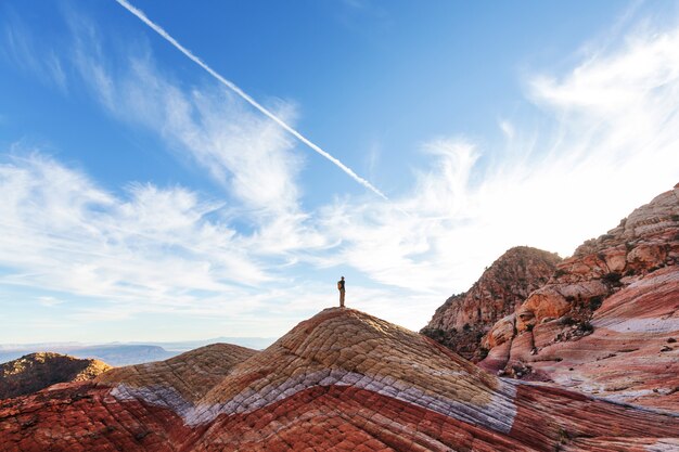 Zandsteenformaties in Utah, VS. Yant flats