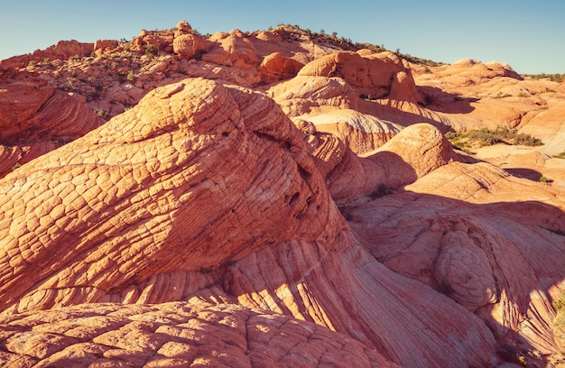 Zandsteenformaties in Utah, VS. Yant flats